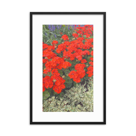 Buckingham flowers Framed Poster